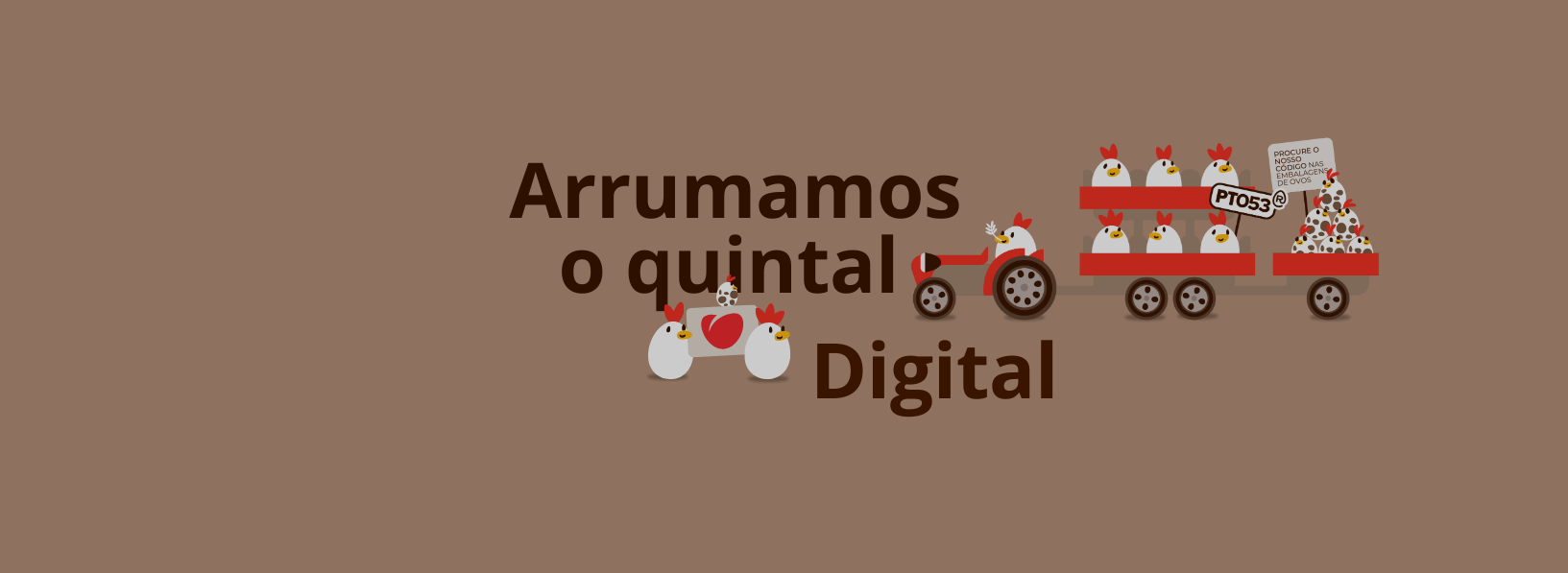 O Novo Website